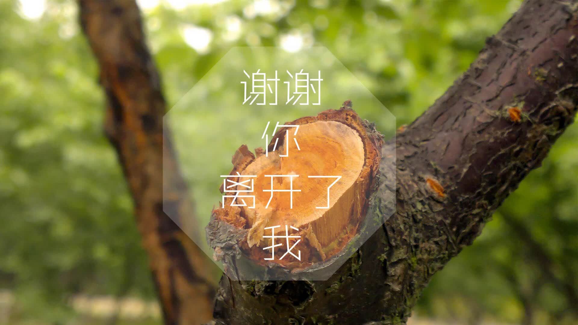 挖掘机培训学校招生语（挖掘机学校报名）