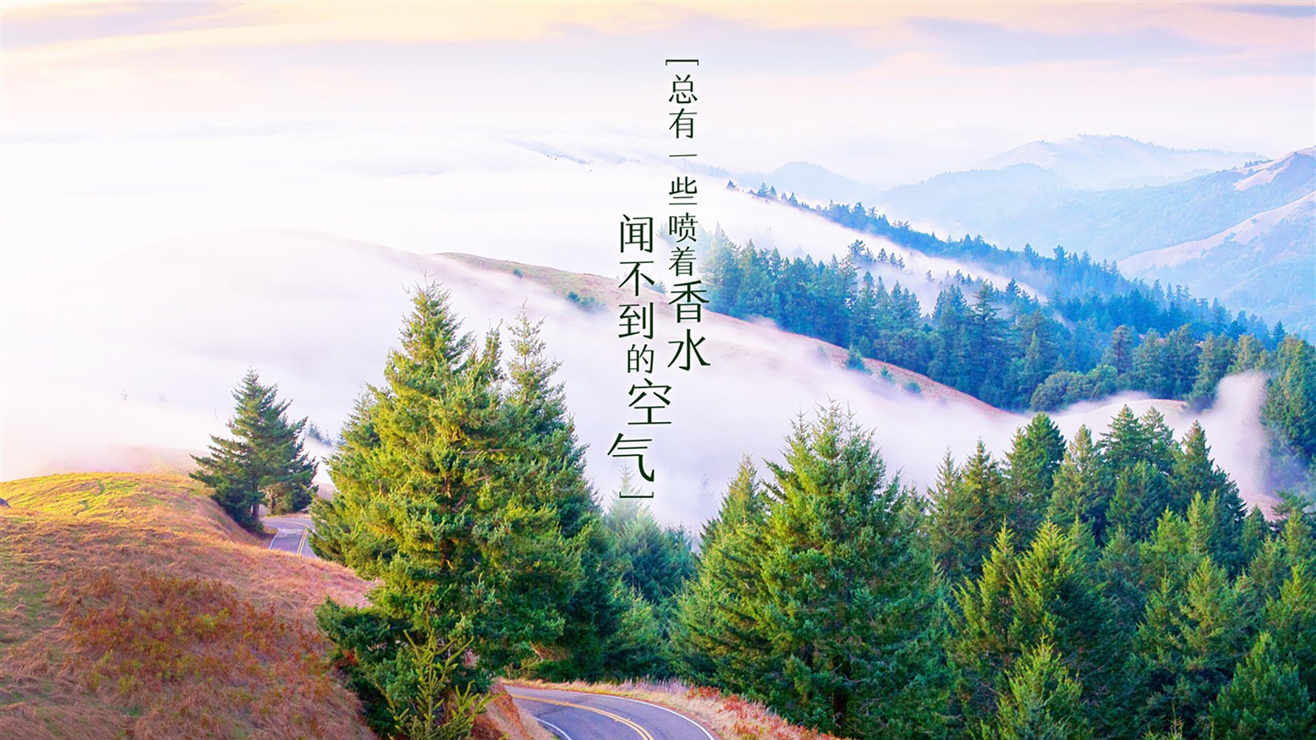 挖掘机视频表演大全集（挖掘机视频表演大全集 挖土机挖土视频）
